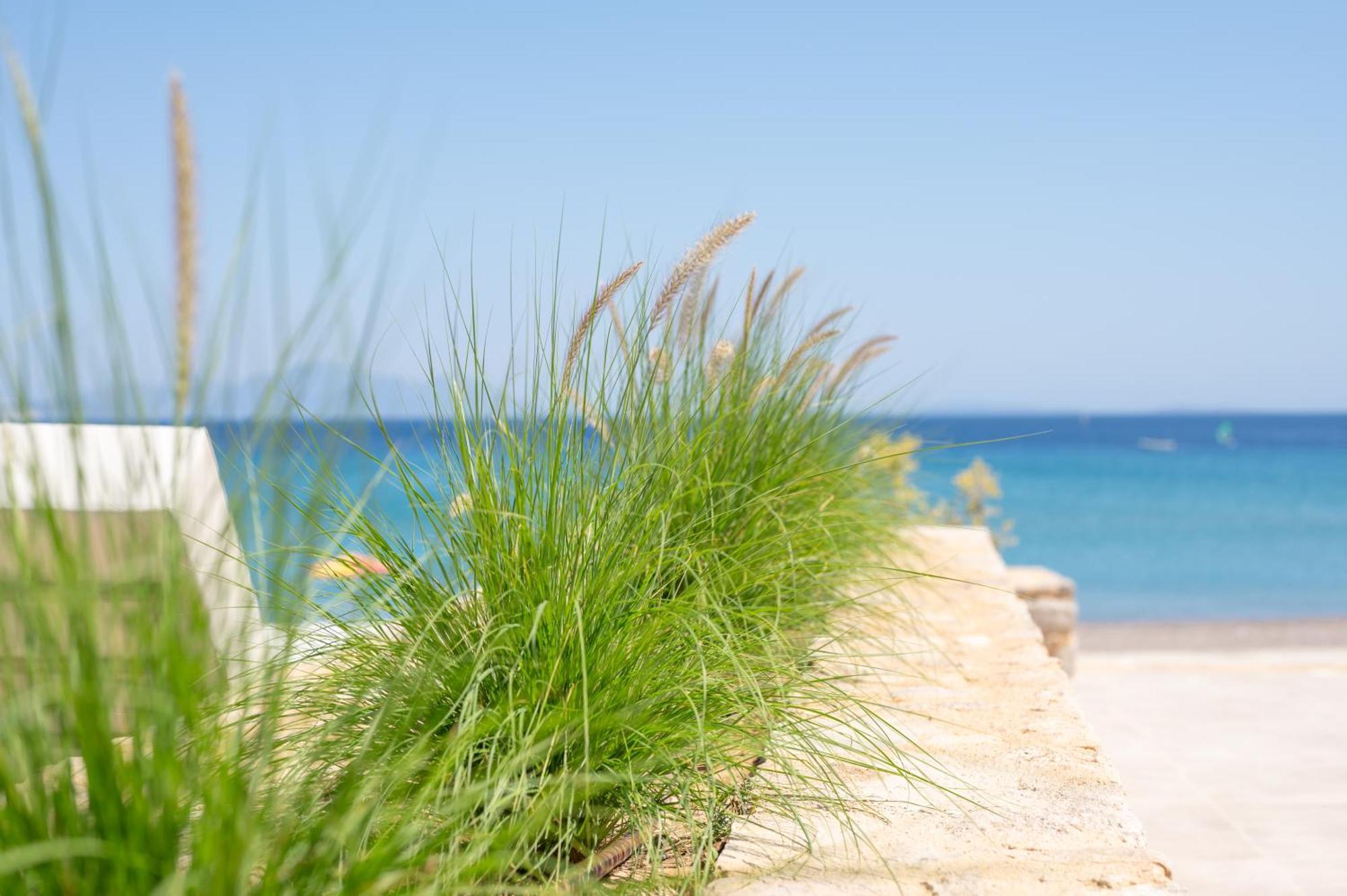 Nalu Luxury Suites Adults Only Kefalos  Екстер'єр фото